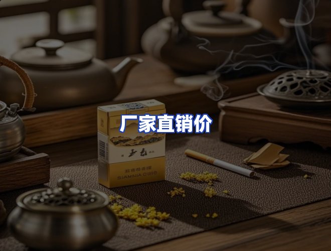 专业团队